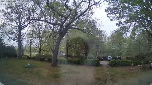 time-lapse frame, Parking Lot webcam