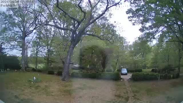 time-lapse frame, Parking Lot webcam