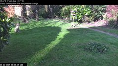 view from Wembury, Devon. Garden Zoom Cam on 2024-05-08