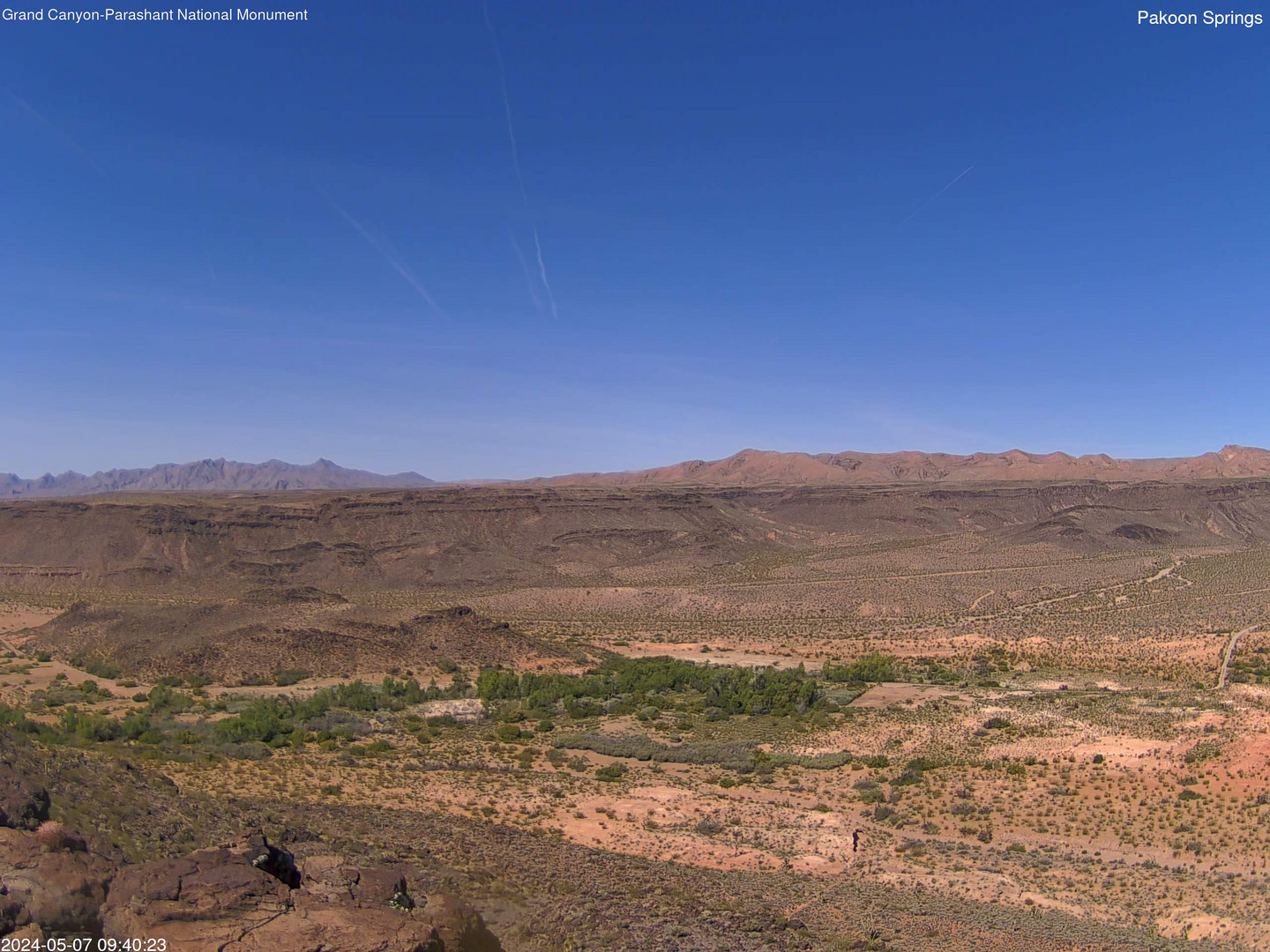 time-lapse frame, Pakoon Springs webcam