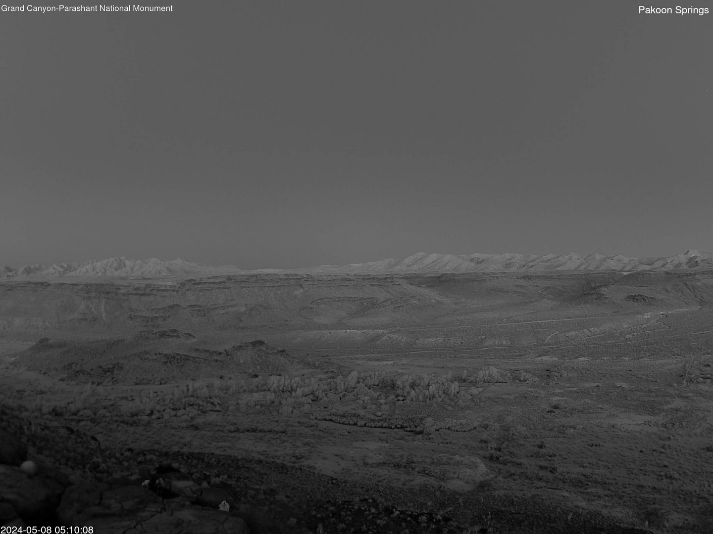 time-lapse frame, Pakoon Springs webcam