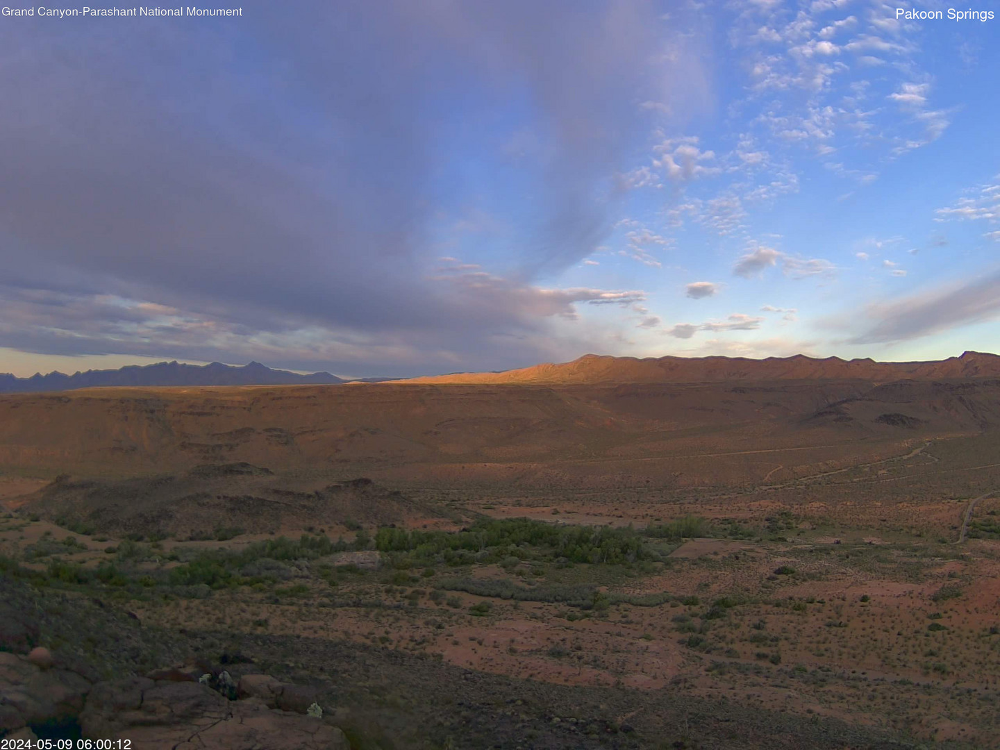 time-lapse frame, Pakoon Springs webcam