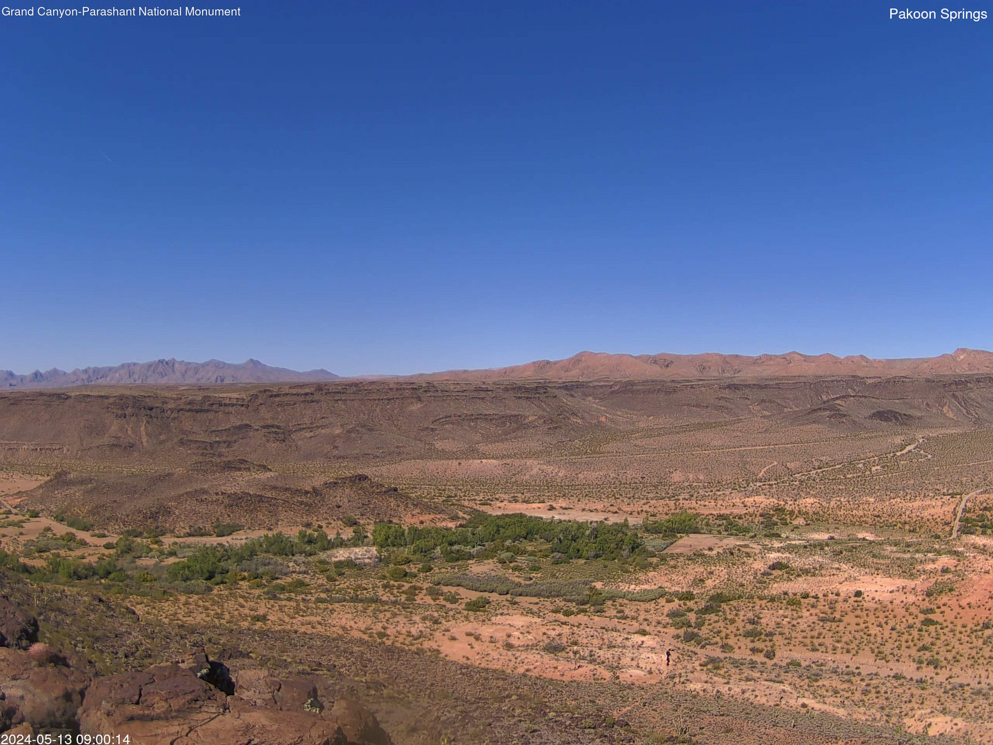 time-lapse frame, Pakoon Springs webcam