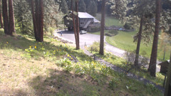 view from Mountain Home Lodge From Cabin on 2024-04-19