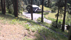 view from Mountain Home Lodge From Cabin on 2024-05-15