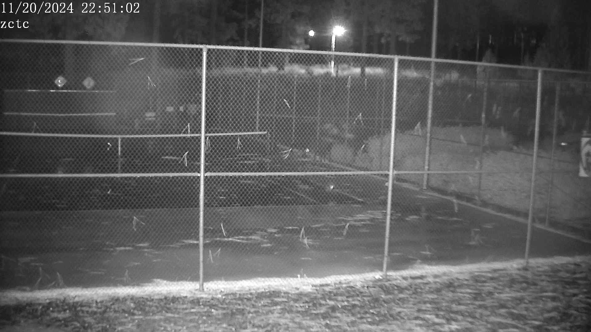 time-lapse frame, ZCTC webcam