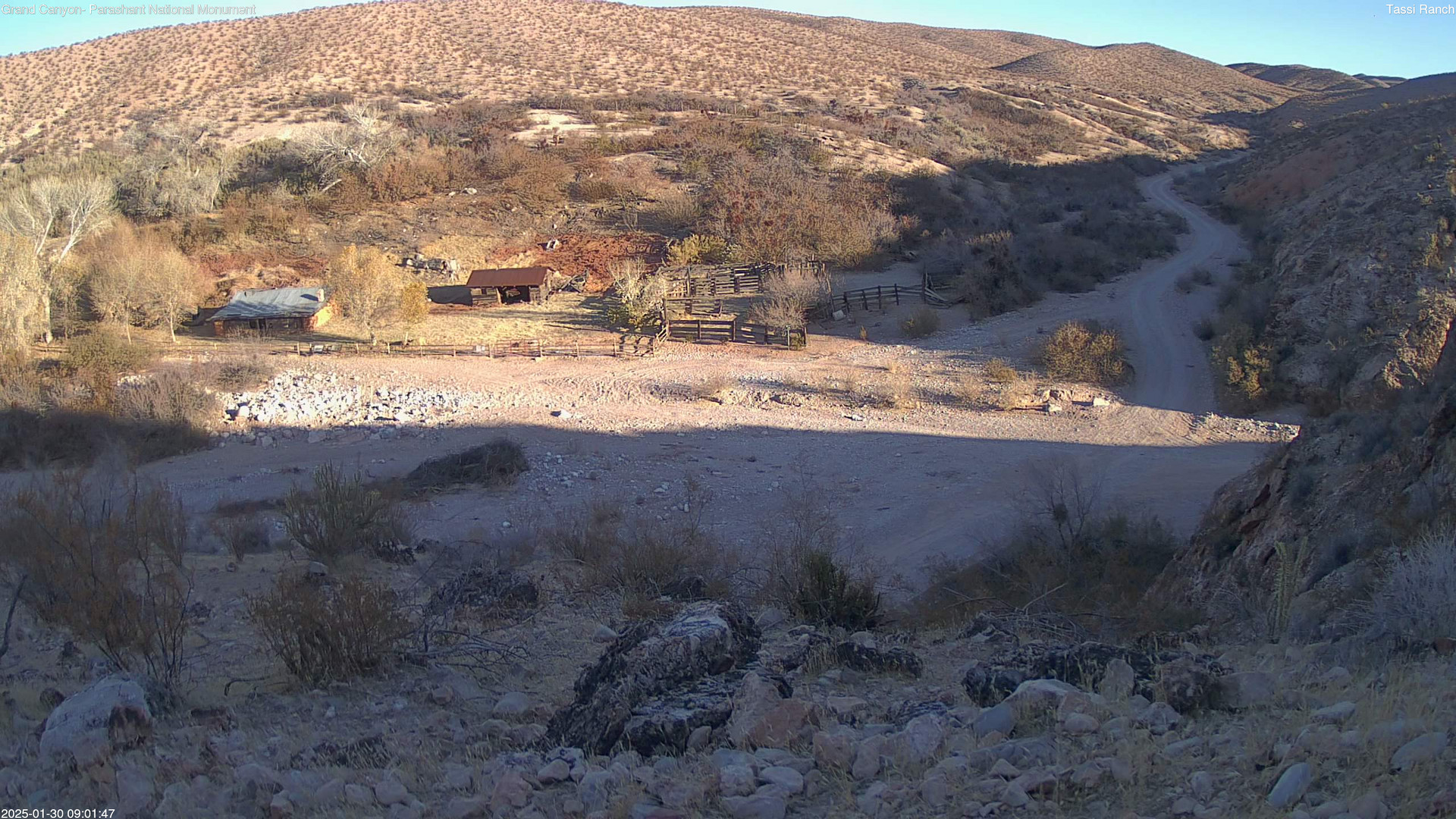 time-lapse frame, Tassi Ranch webcam