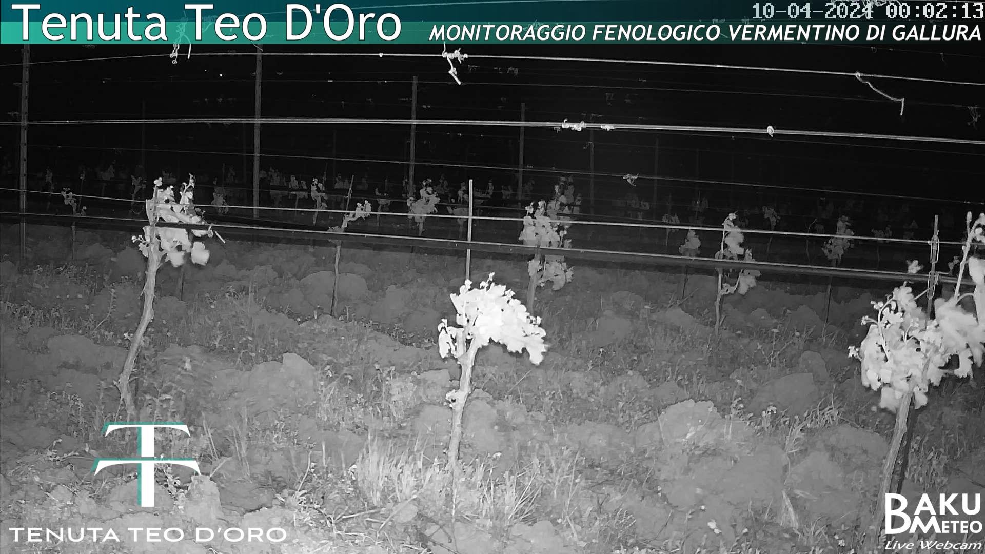 time-lapse frame, Teodoro webcam