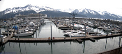 view from Seward Harbor on 2022-06-06