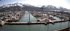 view from Seward Harbor on 2022-06-16