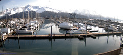 view from Seward Harbor on 2023-03-08