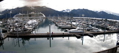 view from Seward Harbor on 2023-09-14