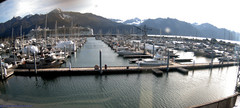 view from Seward Harbor on 2023-09-25