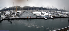 view from Seward Harbor on 2024-02-09
