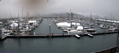 view from Seward Harbor on 2024-02-12