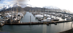 view from Seward Harbor on 2024-02-13