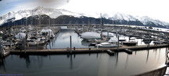 view from Seward Harbor on 2024-03-19