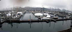view from Seward Harbor on 2024-03-24