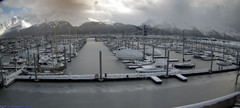 view from Seward Harbor on 2024-04-01