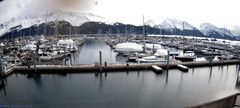 view from Seward Harbor on 2024-04-06