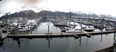 view from Seward Harbor on 2024-04-23
