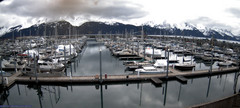 view from Seward Harbor on 2024-04-26