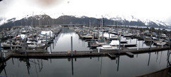 view from Seward Harbor on 2024-05-02