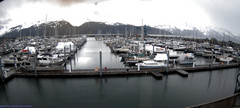 view from Seward Harbor on 2024-05-03