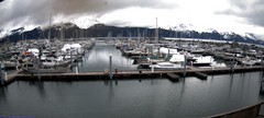 view from Seward Harbor on 2024-05-05