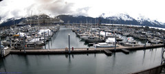 view from Seward Harbor on 2024-05-17