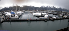 view from Seward Harbor on 2024-12-11