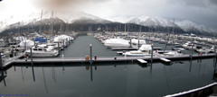 view from Seward Harbor on 2024-12-17