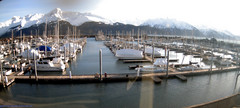 view from Seward Harbor on 2025-02-02