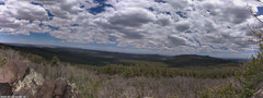 view from Mt Logan on 2024-05-13