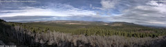 view from Mt Logan on 2024-12-14