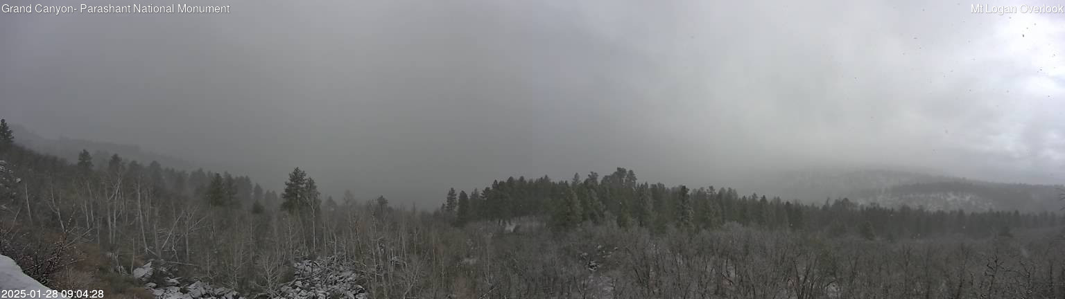 time-lapse frame, Mt Logan webcam