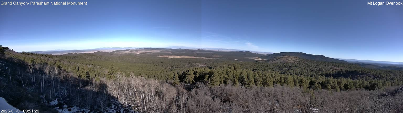 time-lapse frame, Mt Logan webcam