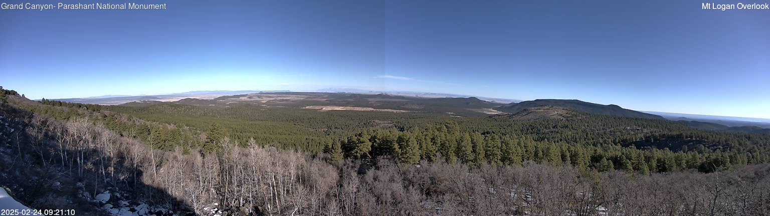 time-lapse frame, Mt Logan webcam