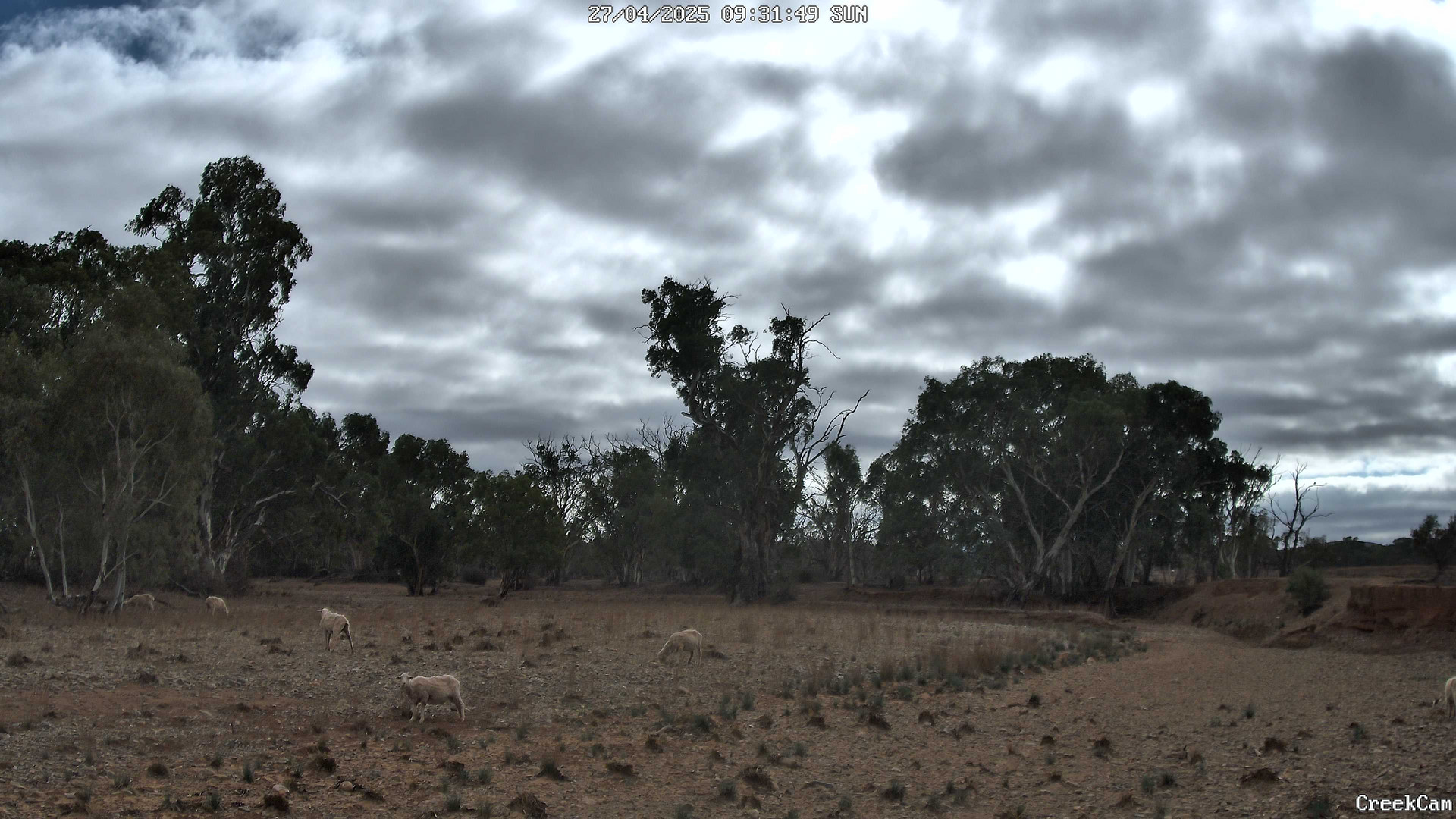 time-lapse frame, CreekCam webcam