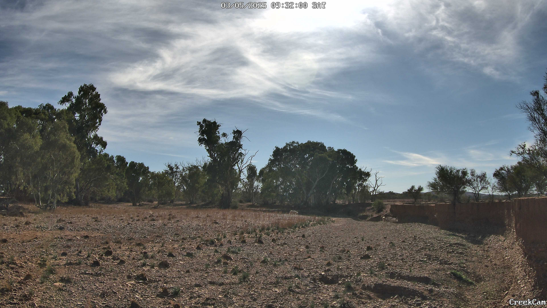time-lapse frame, CreekCam webcam