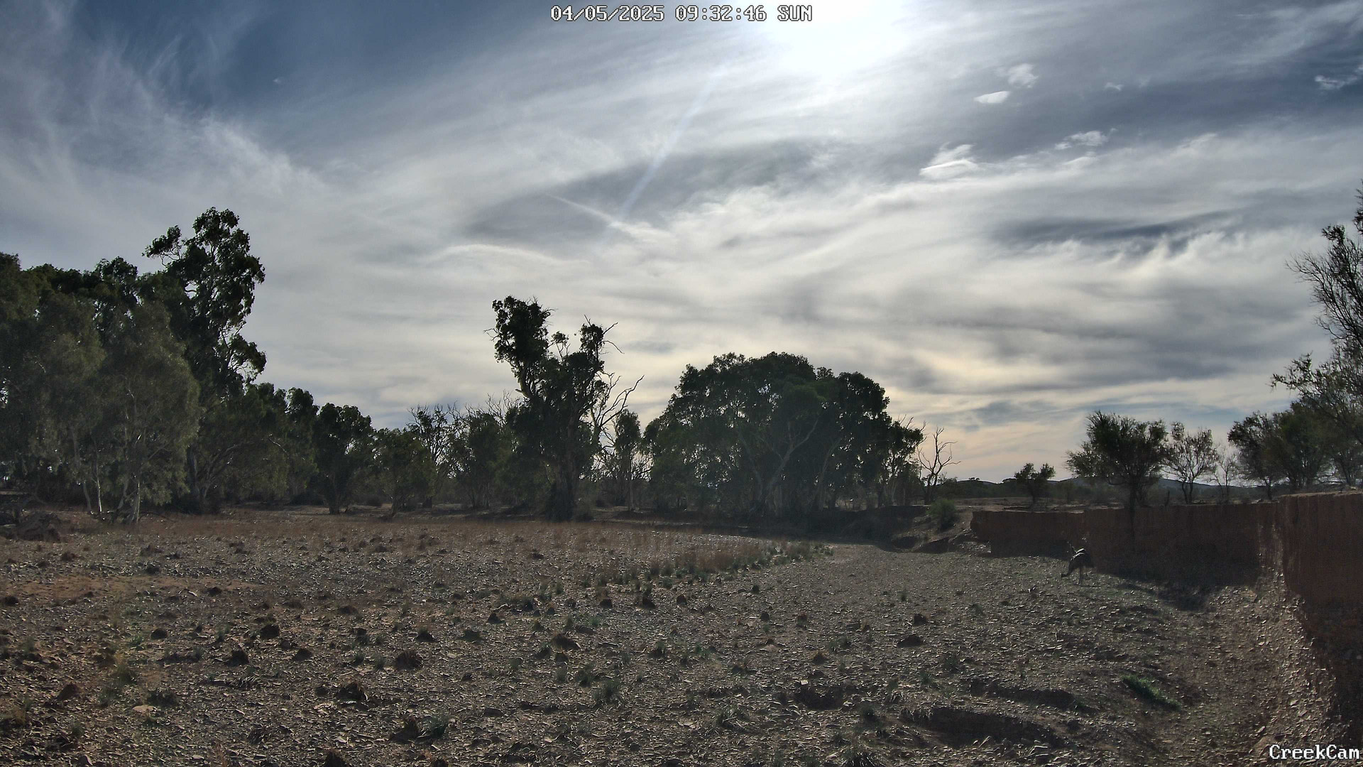 time-lapse frame, CreekCam webcam