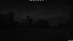 view from CreekCam on 2025-05-06