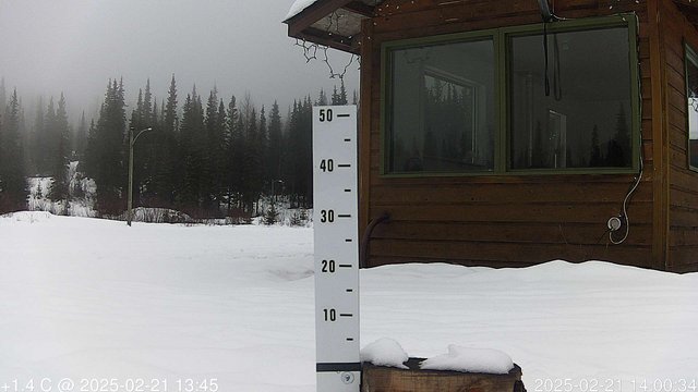 time-lapse frame, snowstump webcam