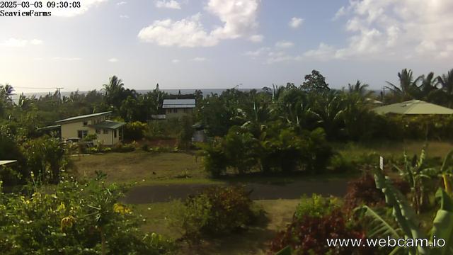 time-lapse frame, SeaviewFarmsHI webcam